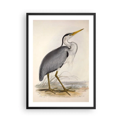 Plakat w czarnej ramie - Czapli wdzięk - 50x70cm - Czapli wdzięk - Nowoczesna dekoracja ścienna do salonu i sypialni ARTTOR