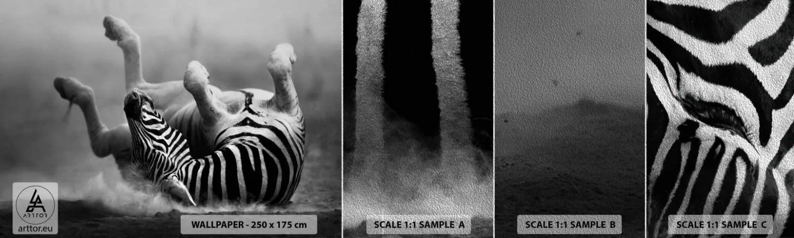 Fototapeta Próbka Premium Sand - Nie tylko koń by się uśmiał - Zwierzęta, Zebra, Natura - 100x30 cm