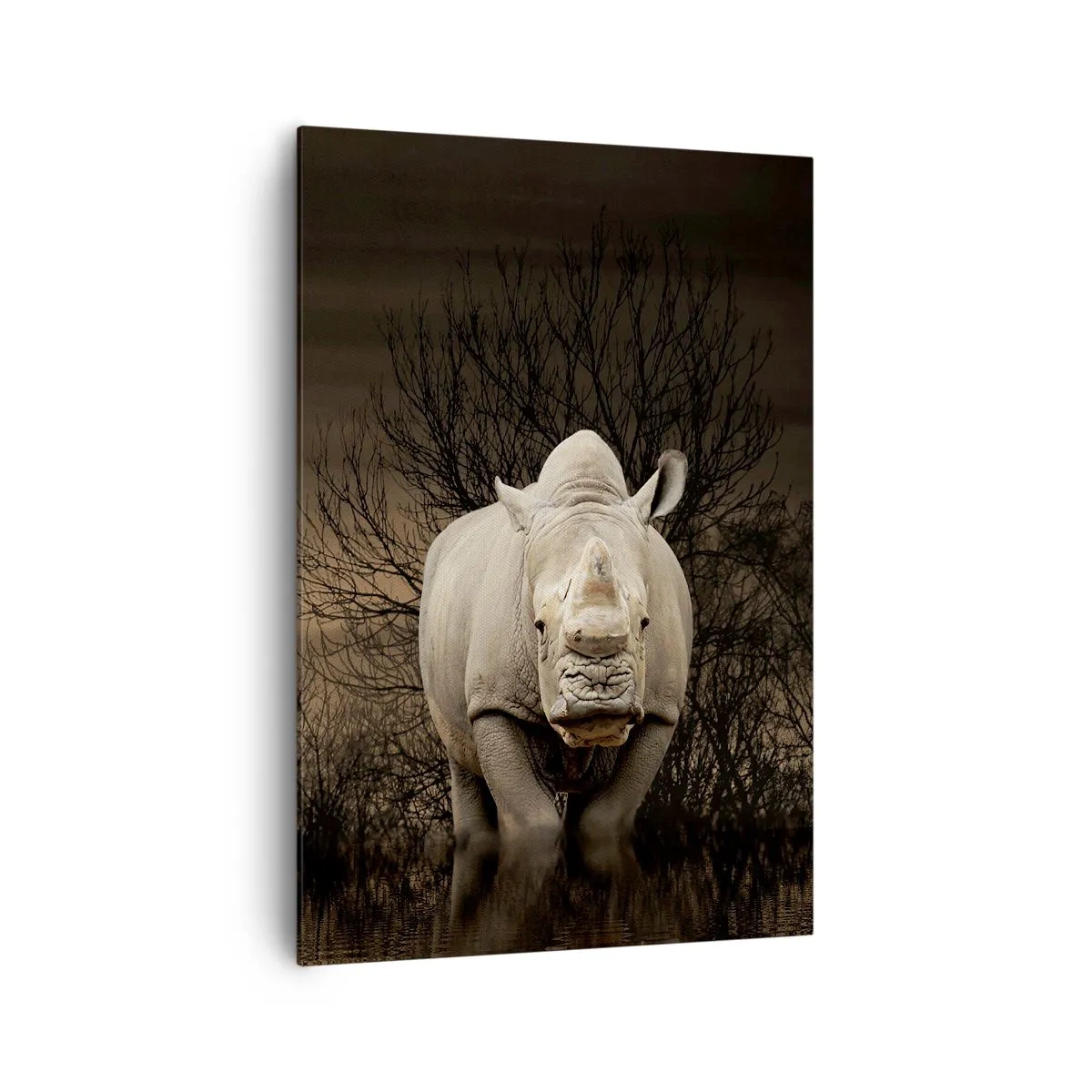 Obraz na płótnie - Nosorożec wśród drzew o zachodzie słońca, dzika natura. - 70x100cm - Biały przeciw naturze - Nowoczesna dekoracja ścienna do salonu i sypialni ARTTOR