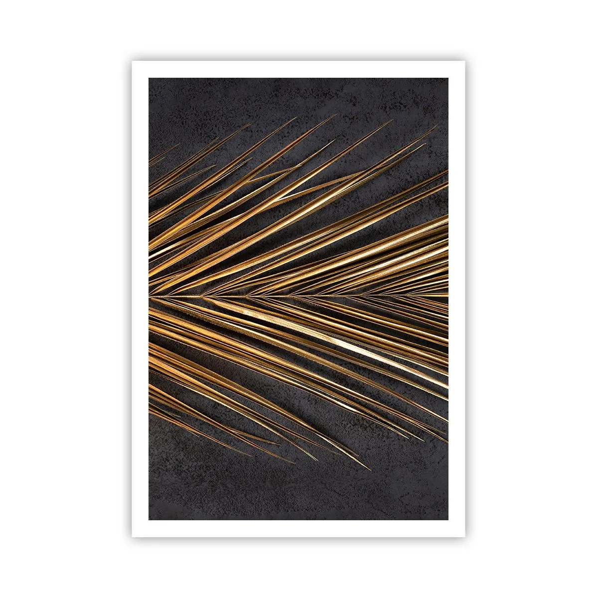 Plakat - Złoto tropików - 70x100 cm
