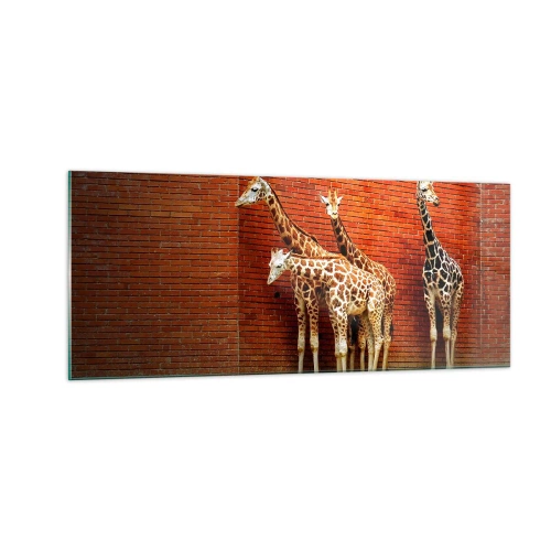 Obraz na szkle - Widzicie jakąś akację? - 100x40 cm