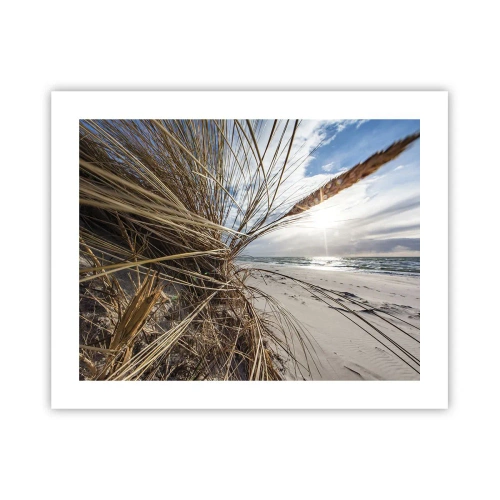 Plakat - Spotkanie żywiołów - 50x40 cm