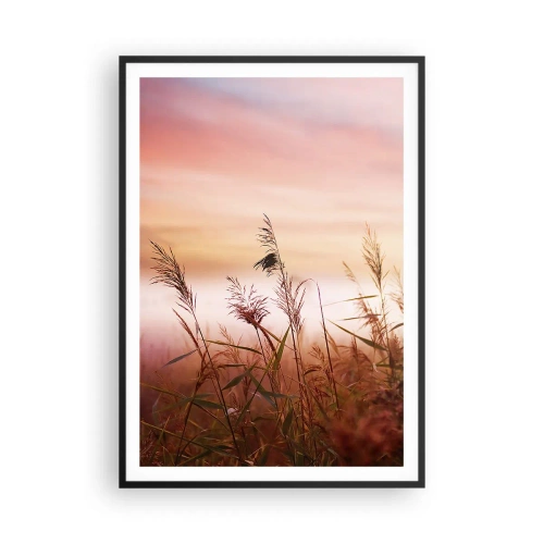 Plakat w czarnej ramie - Latawce, dmuchawce, wiatr - 70x100 cm