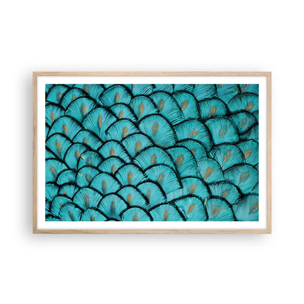 Plakat w ramie jasny dąb - Wielka gala piór - 91x61 cm