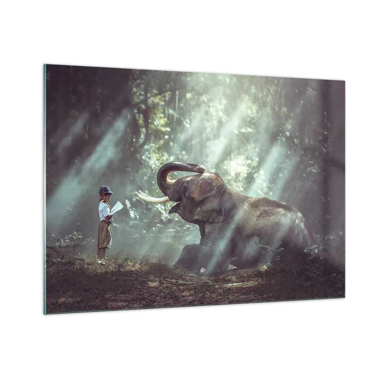 Obraz na szkle - Chłopiec z książką i słoń w leśnym otoczeniu - 100x70cm - A posłuchaj tego… - Nowoczesna dekoracja ścienna do salonu, kuchni i sypialni ARTTOR