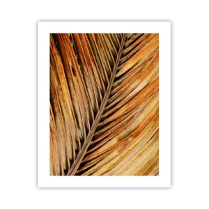 Plakat - Kokosowe złoto - 40x50 cm