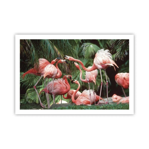 Plakat - Popołudniowe ploteczki - 91x61 cm