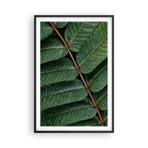 Plakat w czarnej ramie - W zielonym rytmie - 61x91 cm