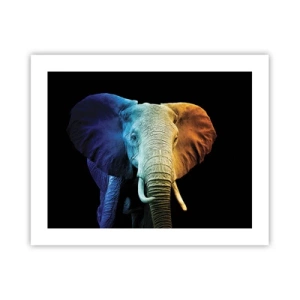 Plakat - Ekscentryk, nie dziwak - 50x40 cm