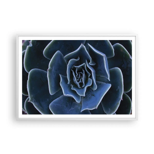 Plakat w białej ramie - Kwiat pustyni - 100x70 cm
