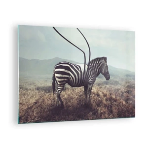 Obraz na szkle - Zebra na tle trawy z surrealistycznym detalem anten - 70x50cm - Uwaga! Usterka - Nowoczesna dekoracja ścienna do salonu i sypialni ARTTOR