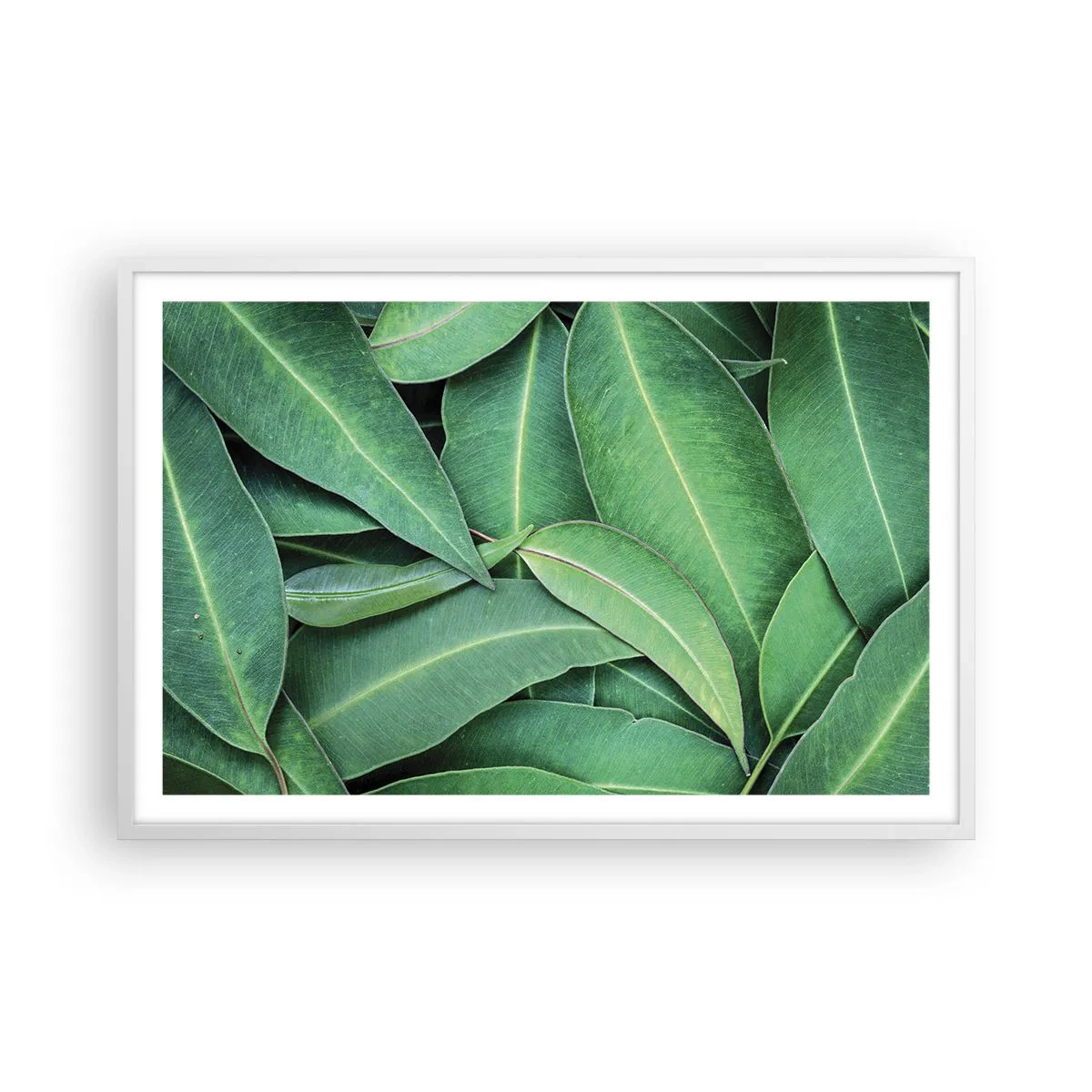 Plakat w białej ramie - Soczyste i świeże - 91x61 cm