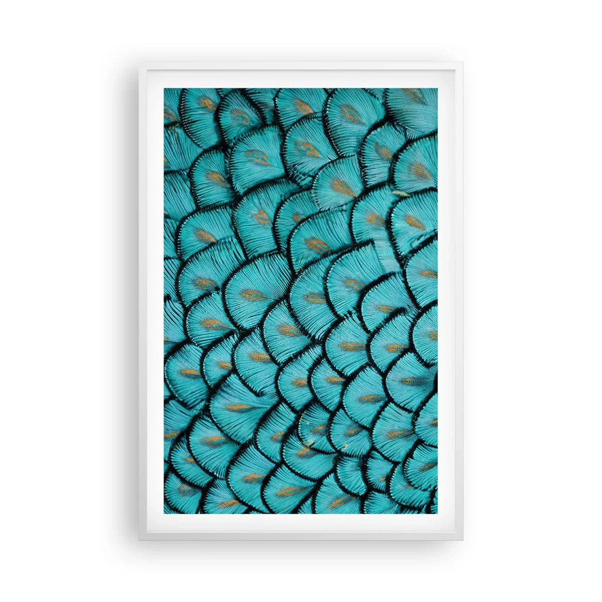 Plakat w białej ramie - Wielka gala piór - 61x91 cm