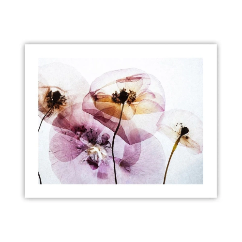 Plakat - Kwiatów ciała przezrocze - 50x40 cm