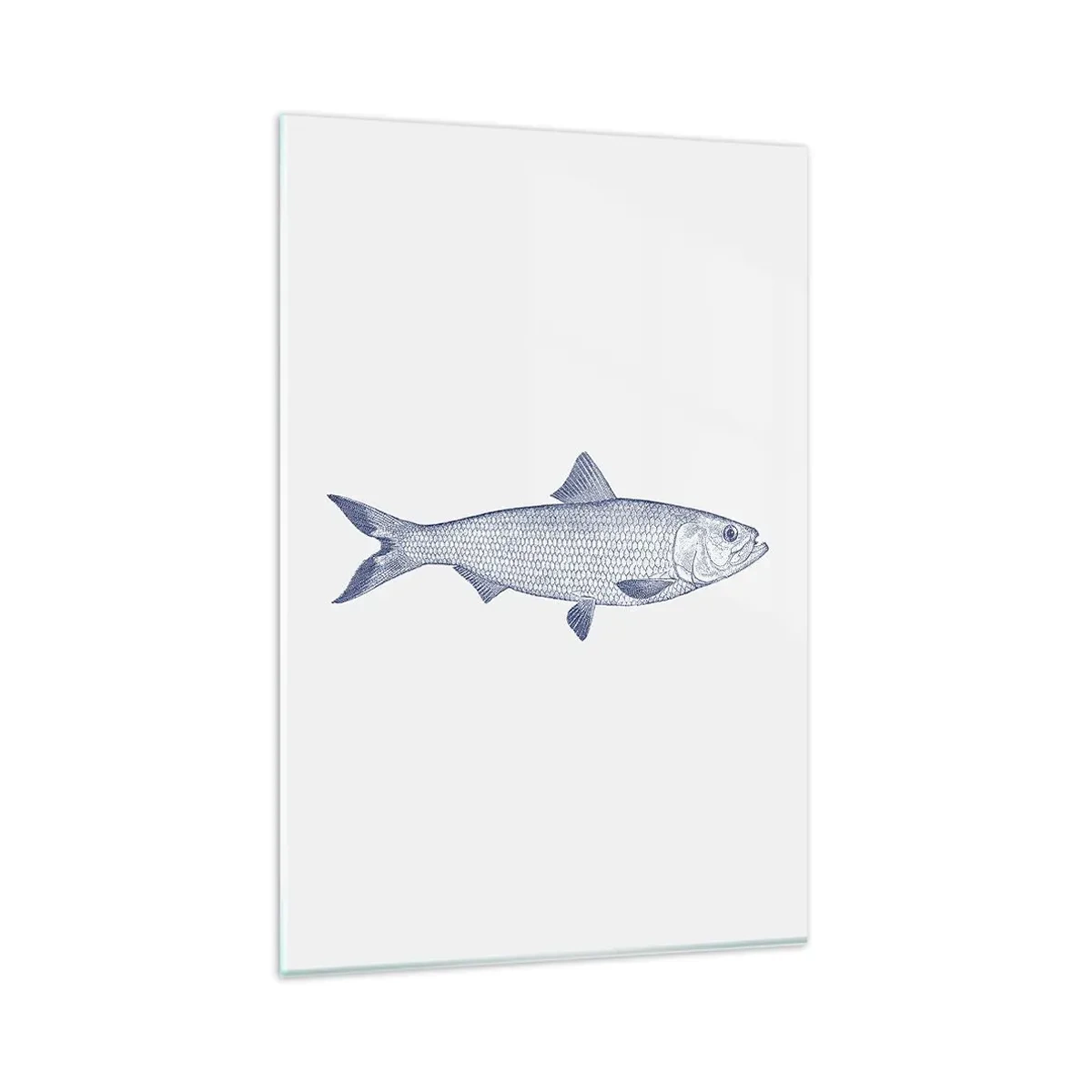 Obraz na szkle - Ilustracja ryby w odcieniach niebieskiego na jasnym tle - 80x120cm - Pozdrowienia z północnych mórz - Nowoczesna dekoracja ścienna do salonu i sypialni ARTTOR