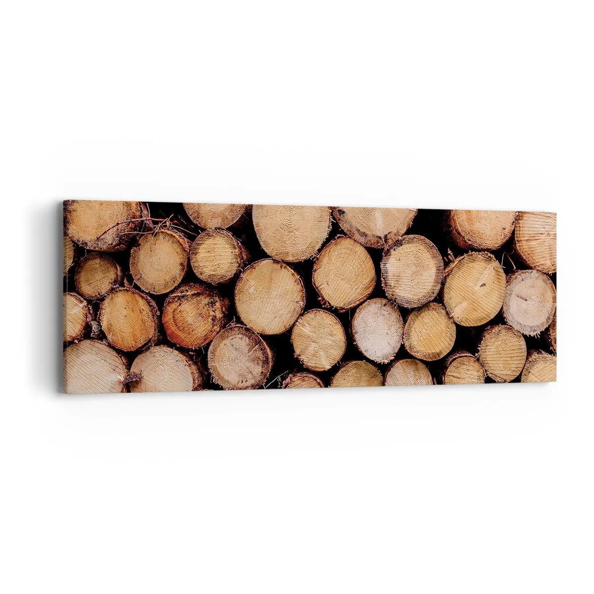 Obraz na płótnie - Nowy początek - 90x30 cm