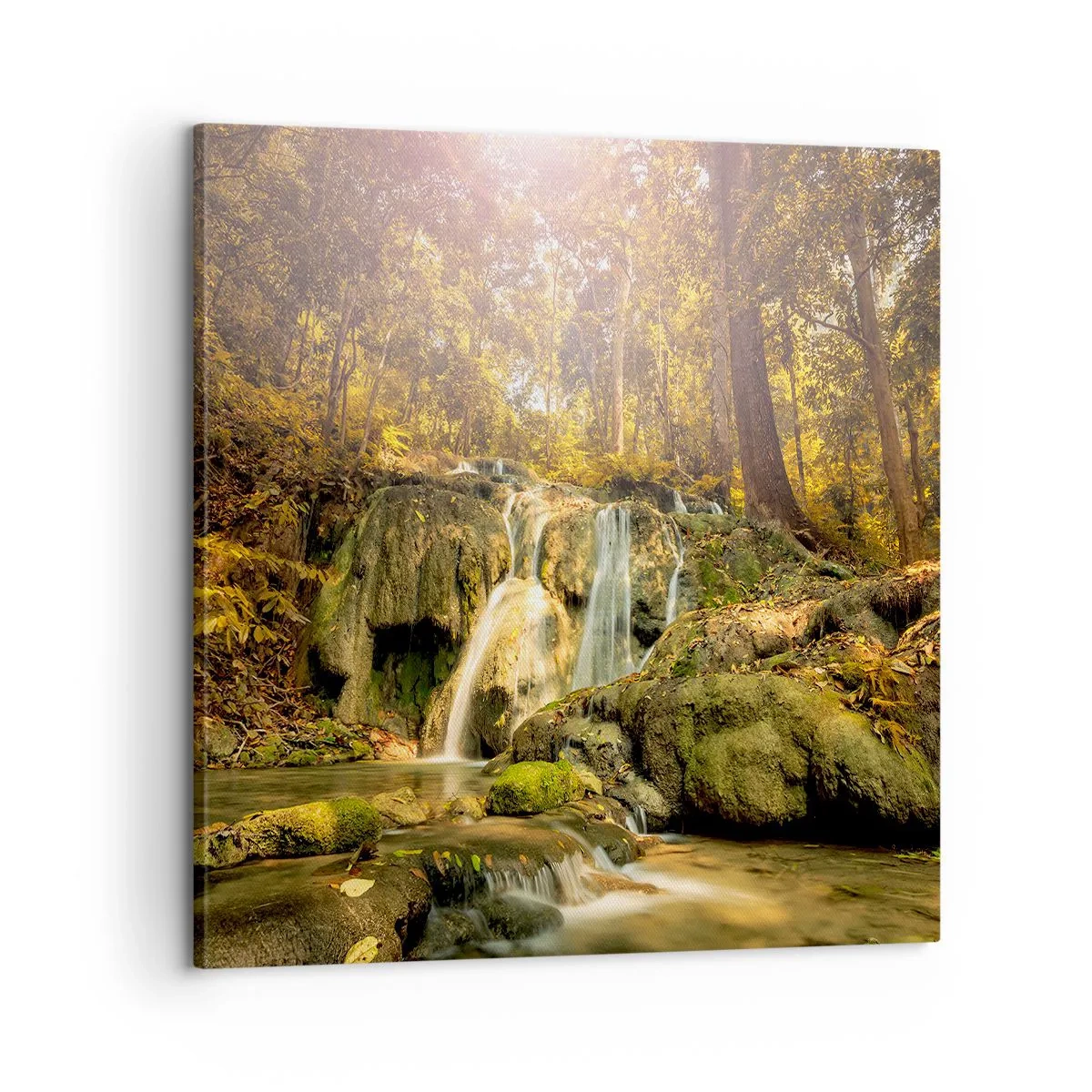 Obraz na płótnie - Leśna kaskada w zieleni - 60x60 cm
