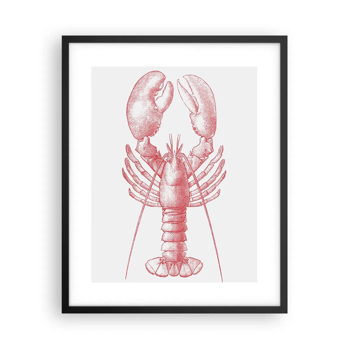 Plakat w czarnej ramie - Homar godny Homera - 40x50 cm