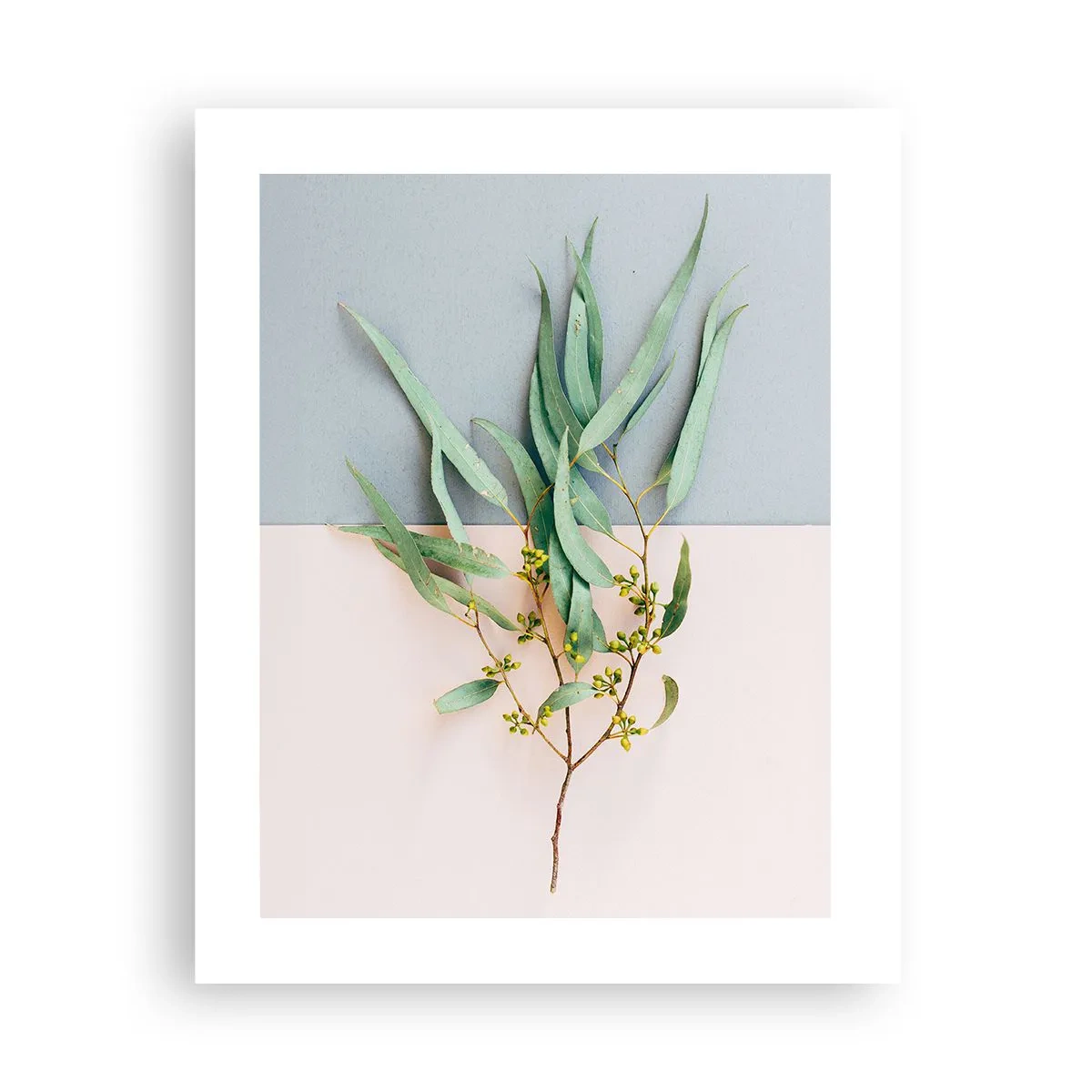 Plakat - Pastelowa subtelność - 40x50 cm