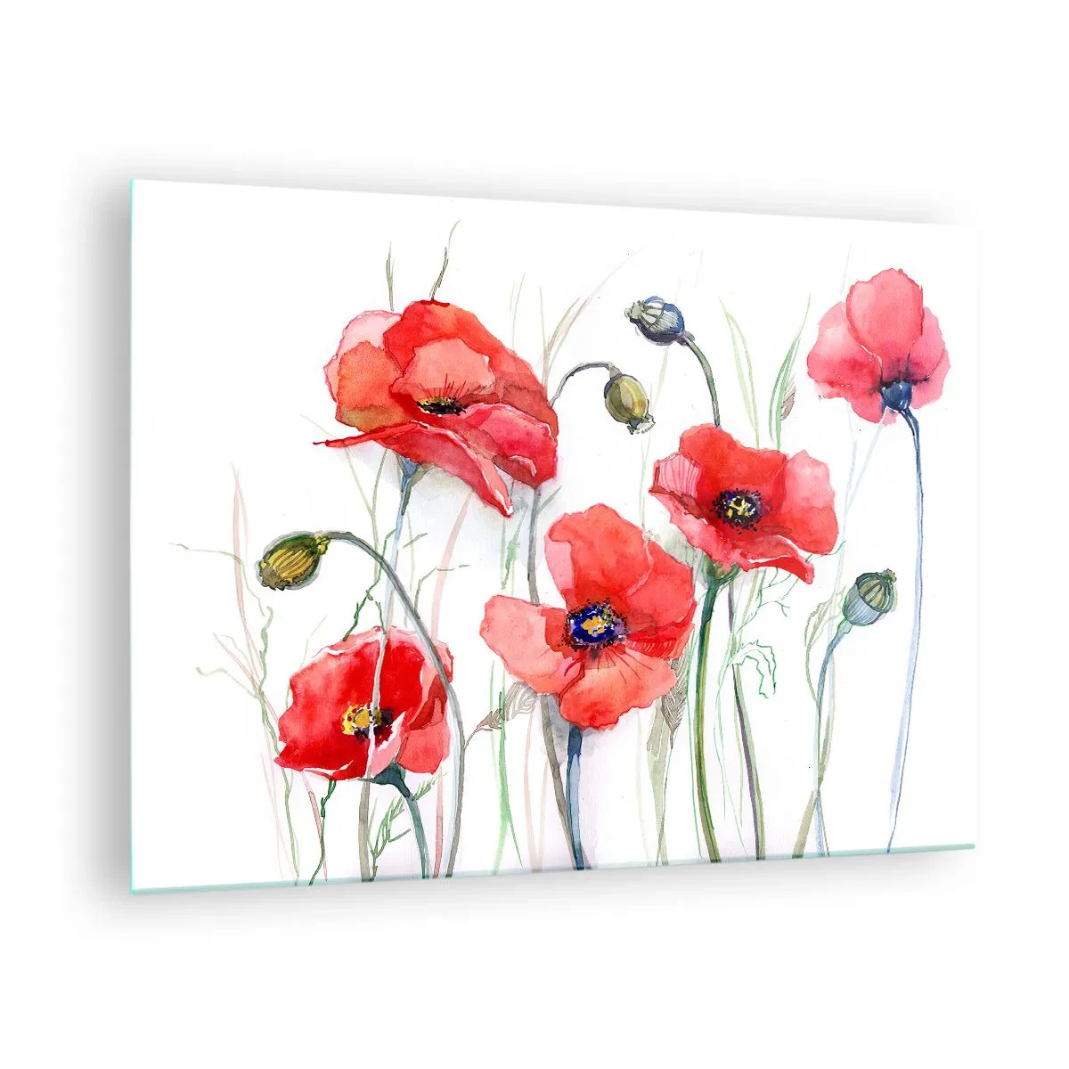 Obraz na szkle - Akwarelowe czerwone maki na białym tle - 70x50cm - Kwiaty polskie - Nowoczesna dekoracja ścienna do salonu i sypialni ARTTOR
