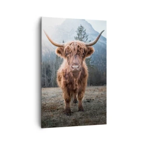 Obraz na płótnie - Włochata krowa szkocka Highland stojąca na łące z górskim tłem - 80x120cm - Pozdrowienia z górskiej łąki - Nowoczesna dekoracja ścienna do salonu i sypialni ARTTOR