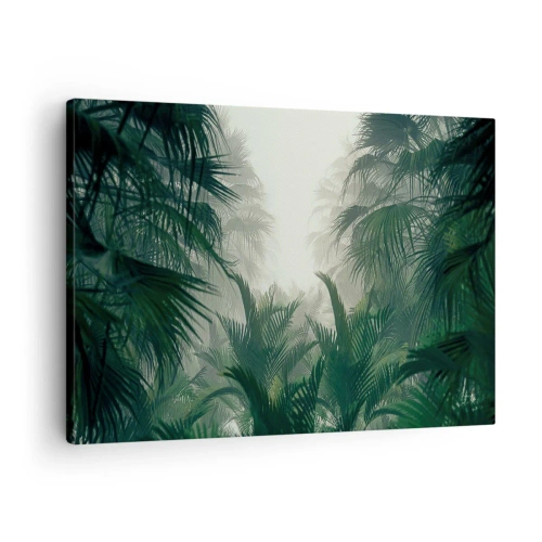 Obraz na płótnie - Tropikalna roślinność w gęstej mgle w lesie deszczowym - 70x50cm - Tropikalna tajemnica - Nowoczesna dekoracja ścienna do salonu i sypialni ARTTOR
