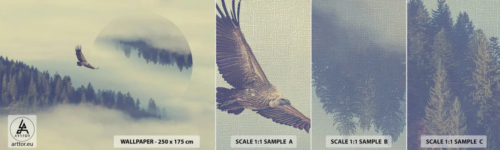 Fototapeta Próbka Premium Canvas - Widziałam orła cień - Orzeł, Ptak, Las - 100x30 cm
