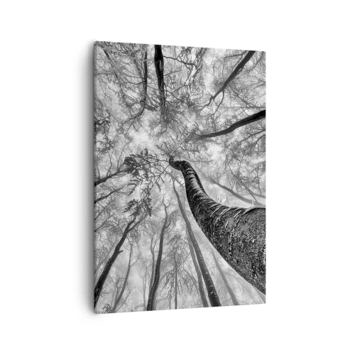 Obraz na płótnie - Czarno-biała perspektywa wysokich drzew widzianych z dołu - 50x70cm - Wyścig do światła - Nowoczesna dekoracja ścienna do salonu, kuchni i sypialni ARTTOR