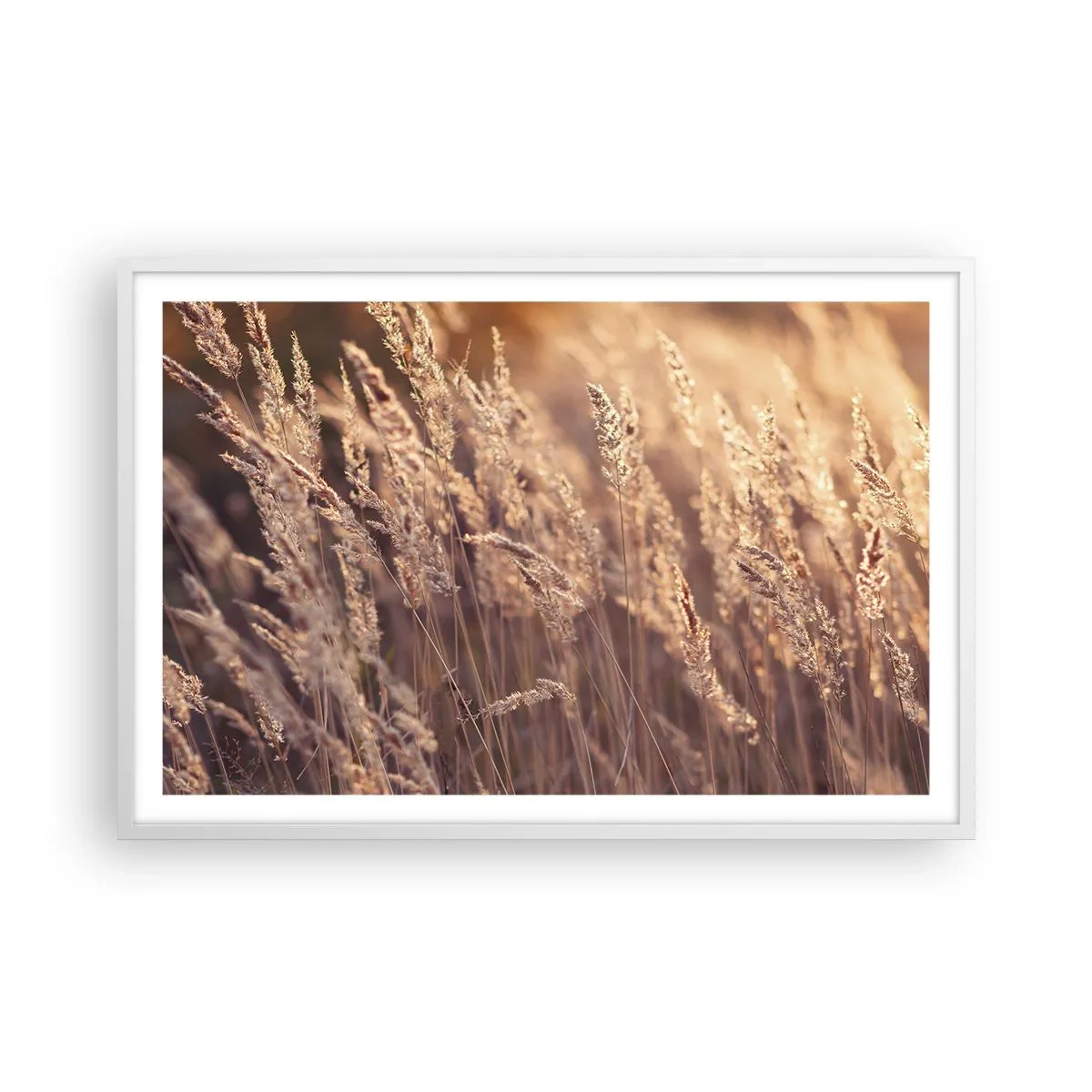 Plakat w białej ramie - Gotowe na powitanie jesieni - 91x61 cm