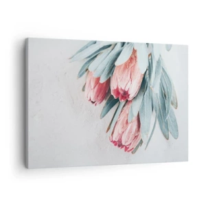 Obraz na płótnie - Subtelne różowe kwiaty protei na jasnym tle - 70x50cm - Zawstydzone własną urodą - Nowoczesna dekoracja ścienna do salonu i sypialni ARTTOR