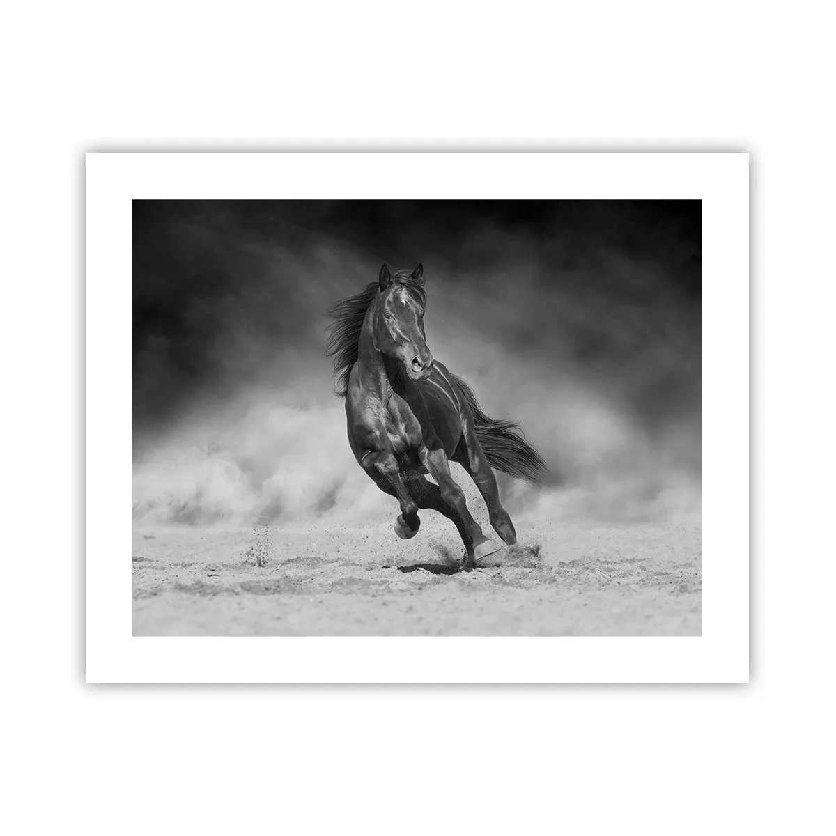 Plakat - Godny samego emira - 50x40 cm