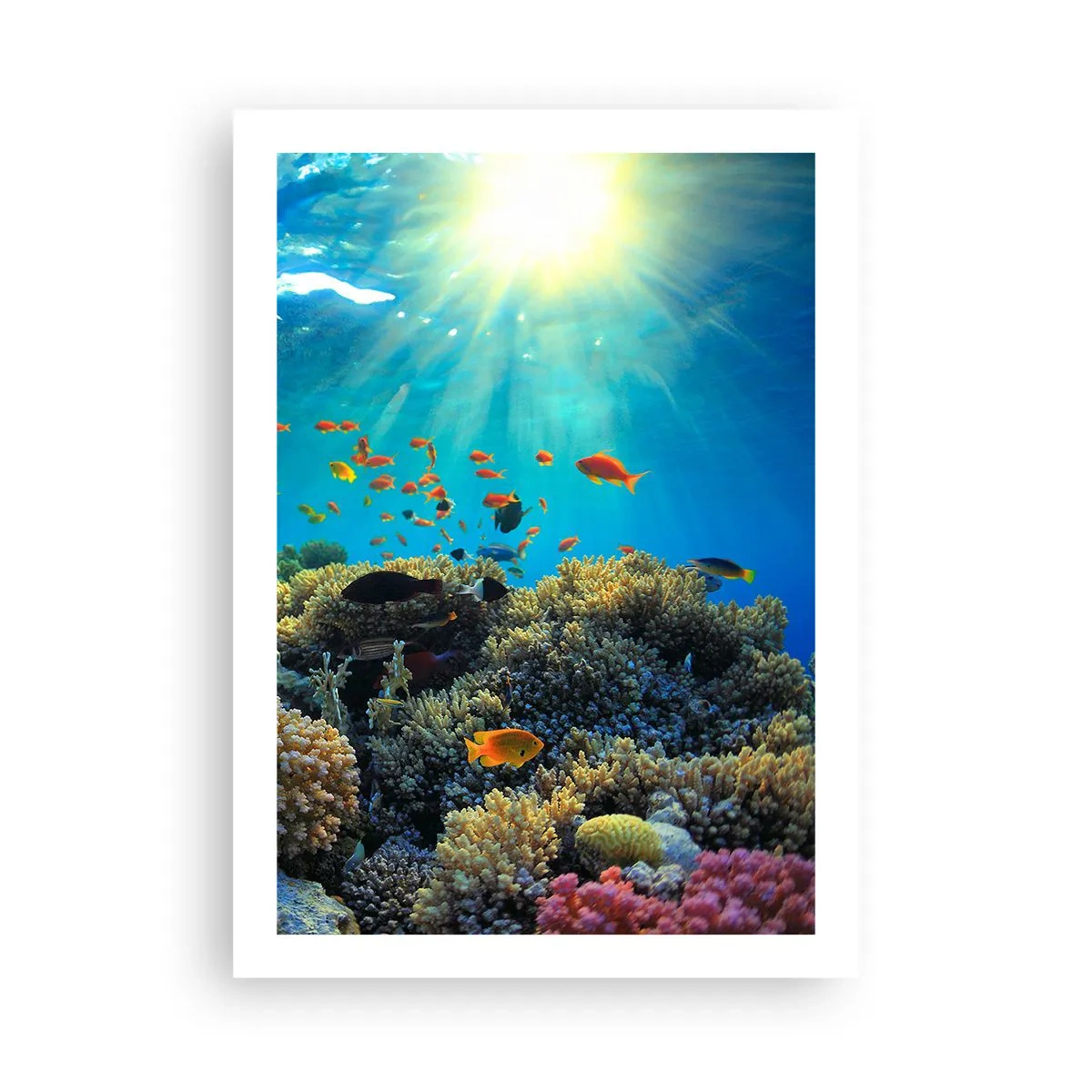 Plakat - Podwodny krajobraz z rafą koralową i kolorowymi rybami - 50x70cm - Podwodne skarby - Nowoczesna dekoracja ścienna do salonu, kuchni i sypialni ARTTOR