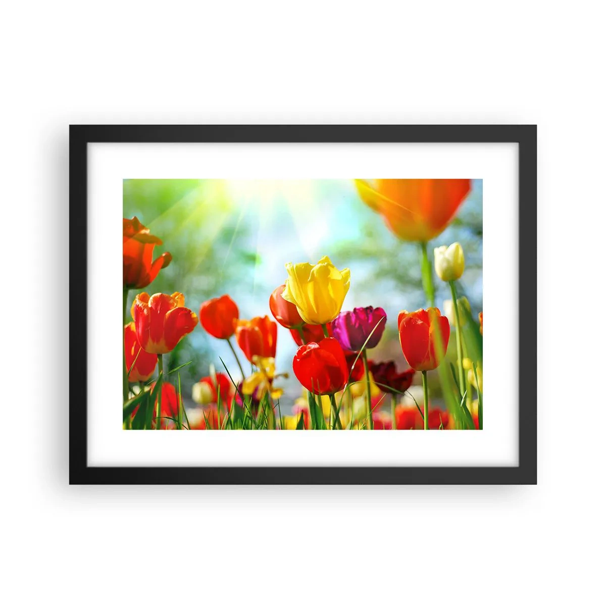 Plakat w czarnej ramie - Wszystkie barwy słońca - 40x30 cm