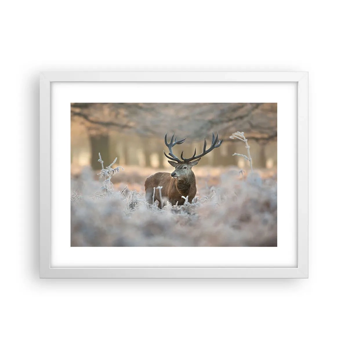 Plakat w białej ramie - Rześki poranek - 40x30 cm