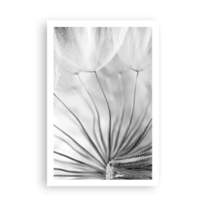 Plakat - Dmuchawce, latawce - 61x91 cm