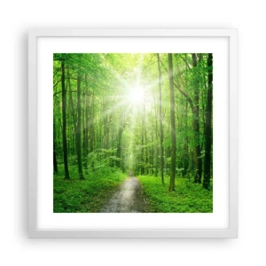 Plakat w białej ramie - Zielona katedra - 40x40 cm