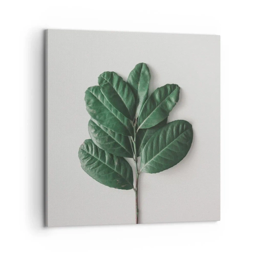 Obraz na płótnie - Rysunek samej natury - 50x50 cm