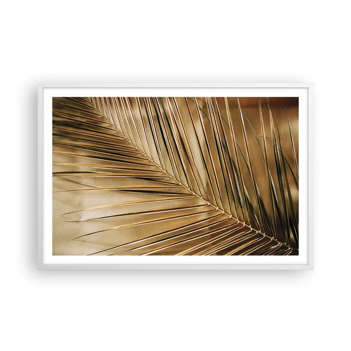 Plakat w białej ramie - Naturalna kolumnada - 91x61 cm