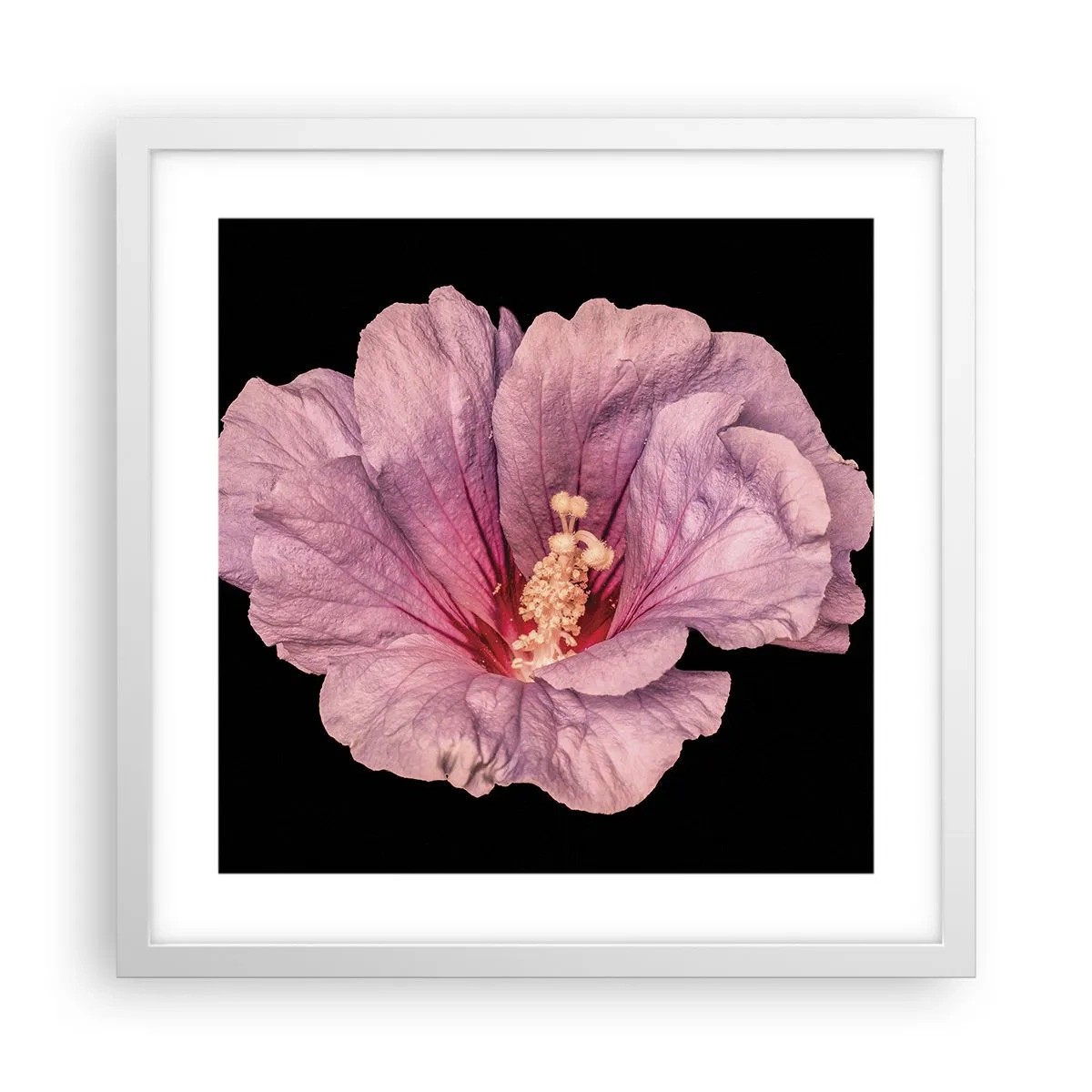 Plakat w białej ramie - Prosto do serca - 40x40 cm