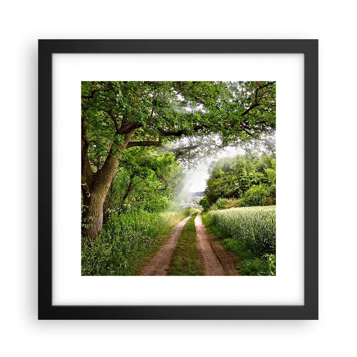 Plakat w czarnej ramie - Et in Arcadia ego - 30x30 cm