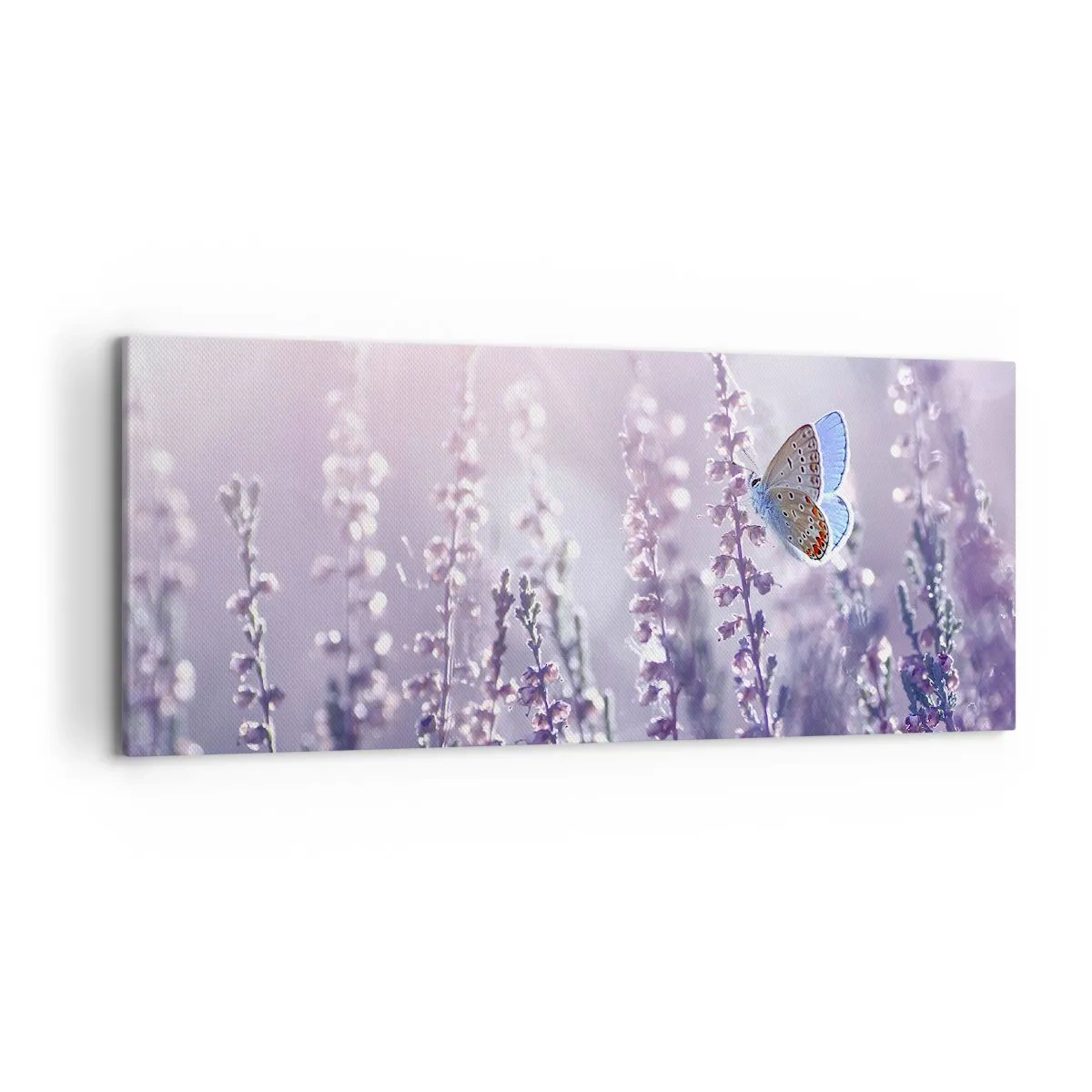 Obraz na płótnie - Motyl na kwitnącej lawendzie w świetle poranka - 120x50cm - Pocałunek motyla - Nowoczesna dekoracja ścienna do salonu i sypialni ARTTOR