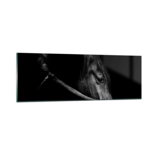 Obraz na szkle - Czarny książę - 90x30 cm