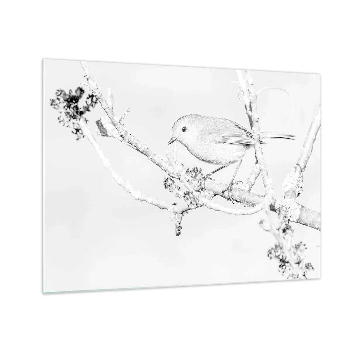 Obraz na szkle - Ptak siedzący na gałęzi w zimowej, monochromatycznej scenerii - 70x50cm - Zimowy poranek - Nowoczesna dekoracja ścienna do salonu i sypialni ARTTOR