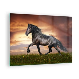 Obraz na szkle - Czarny koń galopujący na tle zachodzącego słońca - 70x50cm - Czarny książę - Nowoczesna dekoracja ścienna do salonu i sypialni ARTTOR