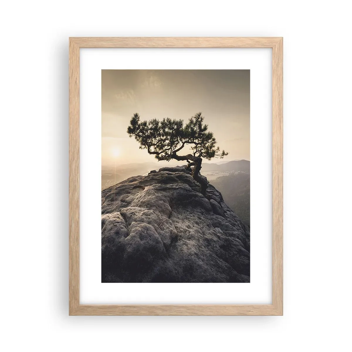 Plakat w ramie jasny dąb - Życie zawsze zwycięża - 30x40 cm