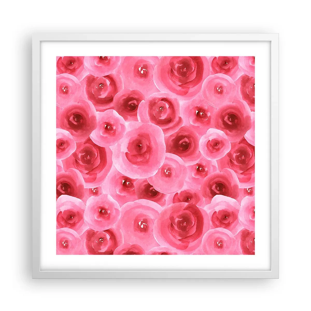 Plakat w białej ramie - Róże na dole i na górze - 50x50 cm