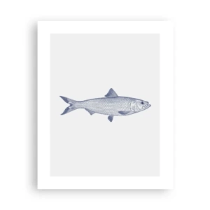 Plakat - Pozdrowienia z północnych mórz - 40x50 cm