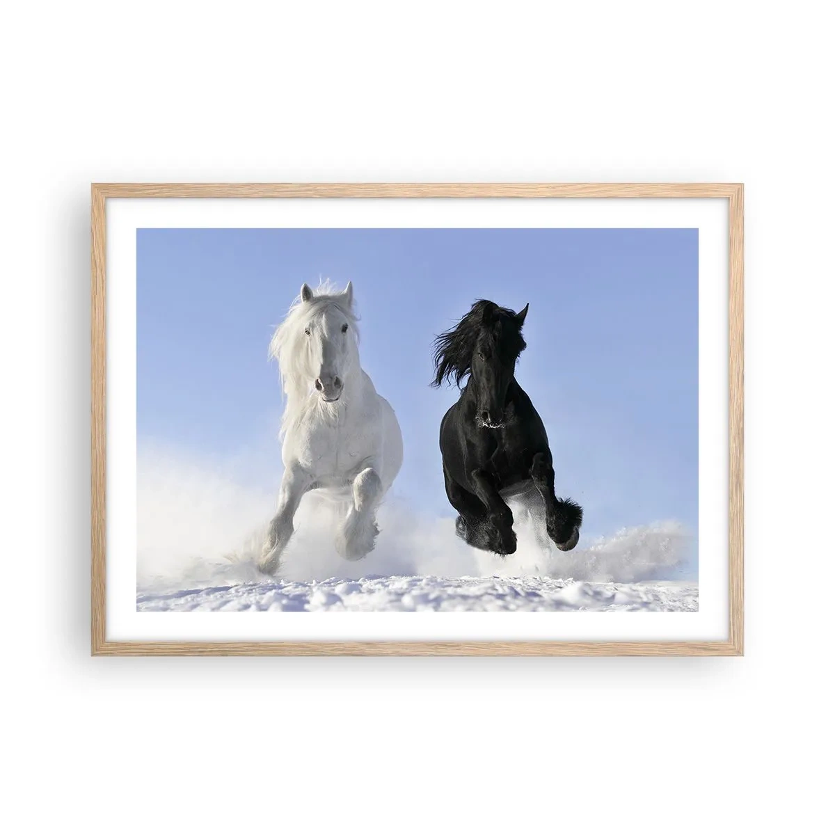 Plakat w ramie jasny dąb - Czarno-biały galop - 70x50 cm