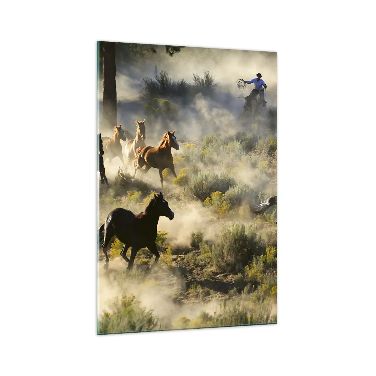 Obraz na szkle - Stado dzikich koni galopujących przez kurz i roślinność - 70x100cm - Rywalizacja - wolność czy męska siła? - Nowoczesna dekoracja ścienna do salonu i sypialni ARTTOR