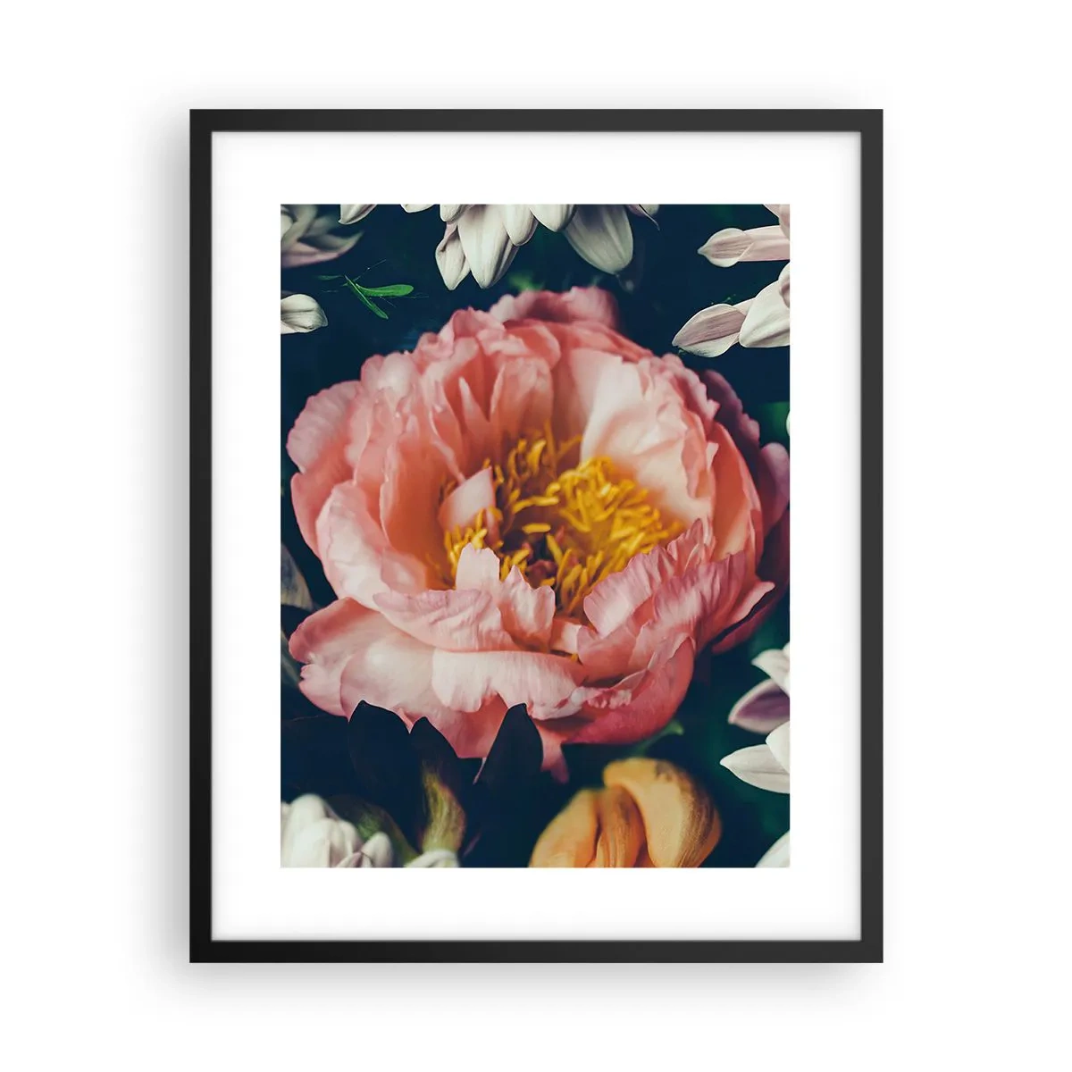 Plakat w czarnej ramie - Z barokowym przepychem - 40x50 cm